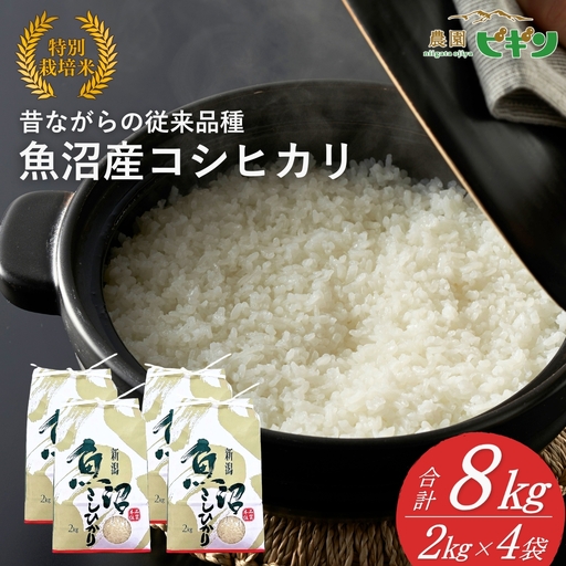 【令和7年】 昔ながらの魚沼産コシヒカリ 精米8kg(2キロ×4) 従来品種 農園ビギン | おこめ 特A評価 小千谷市 コシヒカリ