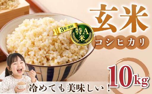 玄米10kg（5kg×2袋）冷めても美味しいコシヒカリ【小田農園】　　｜最短4〜7日程度でお届け　※着日指定不可
