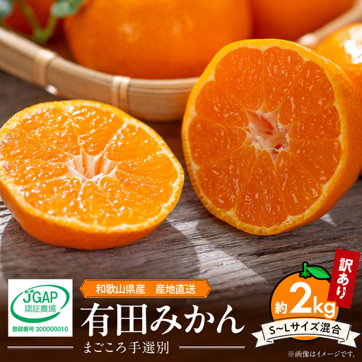 【家庭用】和歌山県産　有田みかん 約2kg (S～Lサイズ混合)【まごころ手選別】_ZE6517