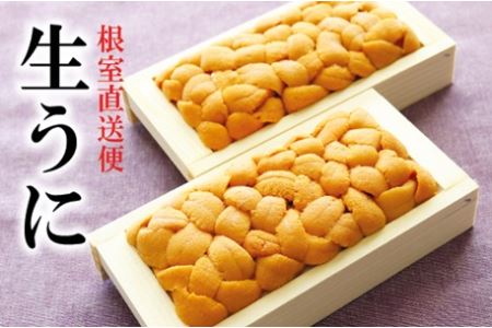 エゾバフンウニ100g×2折[10月下旬以降発送] F-40001