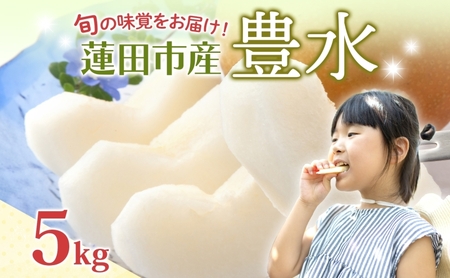 梨豊水 埼玉県産 梨豊水[5kg]