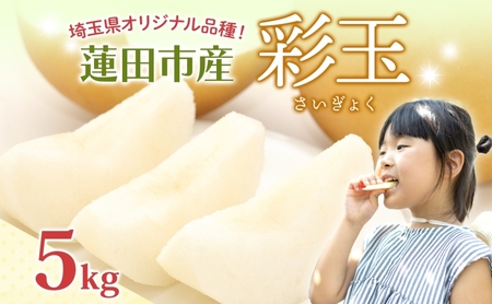 梨彩玉 埼玉県産 梨梨彩[5kg]