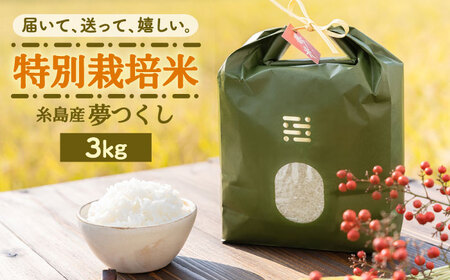 とくべつの中のとくべつ 特別栽培米 3kg 夢つくし 吉富町/(株)やました[BGBX001]