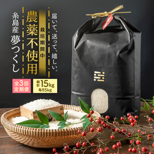 【全3回定期便】農薬を使わずに育てた 山つき 5kg 夢つくし 吉富町/(株)やました[BGBX014]