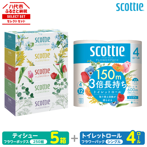 トイレットペーパー シングル 4ロール ＋ ティッシュ 5箱 セット スコッティ ティッシュ トイレット