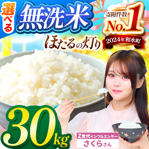 令和7年産 熊本県産 ほたるの灯り 無洗米 30kg  | 選べる 銘柄 ほたるの灯り 森のくまさん 容量 5kg 10kg 15kg 20kg 25kg 30kg 特A 小分け 訳あり 規格外 