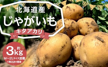 北海道産 じゃがいも （キタアカリ） 約3kg 山田農場 きたあかり 栗じゃが ジャガイモ 芋 いも 野菜 やさい 北海道 京極町 常温 【2026年9月下旬-2027年1月上旬迄発送予定】