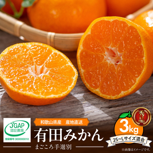 【2026先行予約】【秀品】和歌山県産　有田みかん 約3kg (2S～Lサイズ混合) 【まごころ手選別】_ZE6413n