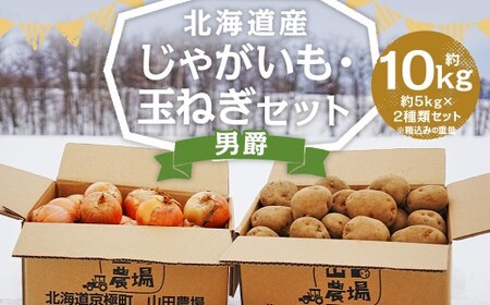 北海道産 じゃがいも 男爵 玉ねぎ セット M～2Lサイズ混載 各約5kg 合計約10kg 2箱 山田農場 ジャガイモ 芋 いも イモ 玉葱 タマネギ たまねぎ 国産 【2026年10月上旬-2027年1月上旬迄発送予定】