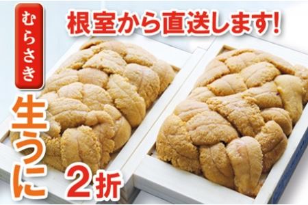 ムラサキウニ70～80g×2折 A-71004