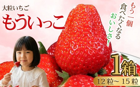 もういっこ イチゴ 大粒 銚子産 【1月下旬～4月下旬頃発送】  岩瀬農園