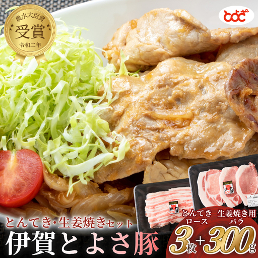 ブランド豚 農水大臣賞受賞　伊賀とよさ豚　とんてき・生姜焼きセット【tysk0002】