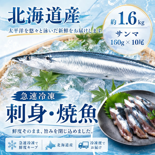 北海道産急速冷凍サンマ　160g×10尾　約1.6kg（AM0012）