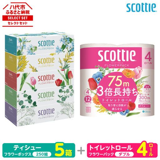 トイレットペーパー ダブル 4ロール + ティッシュ 5箱 セット スコッティ ティッシュ トイレット