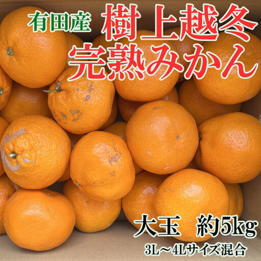 [先行予約]［濃厚・まろやか］有田産樹上越冬完熟みかん大玉約5kg（3L・4Lサイズ・秀優混合品）★2027年1月下旬頃より順次発送