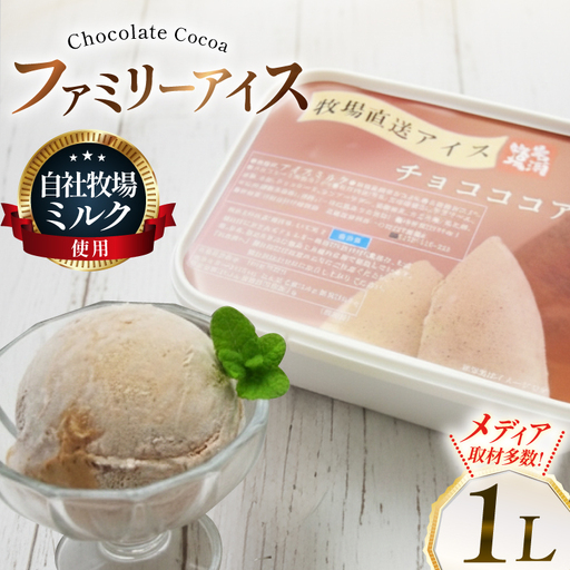 テレビで紹介! アイス ジェラート チョコココア 1L ファミリーサイズ ジャンボサイズ