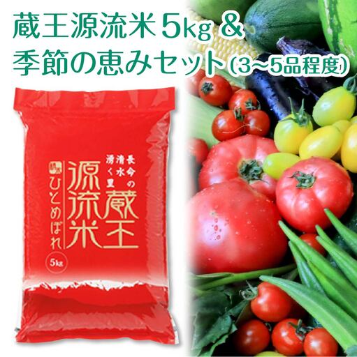 [3か月定期便][令和7年産米]蔵王源流米5kg&季節の恵みセット(3〜5品程度) [04301-0138]
