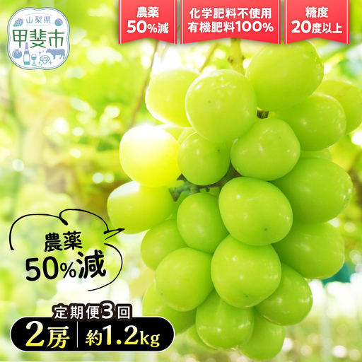 [先行予約]定期便 樹上完熟シャインマスカット(特別栽培)1.2kg/2房 3回