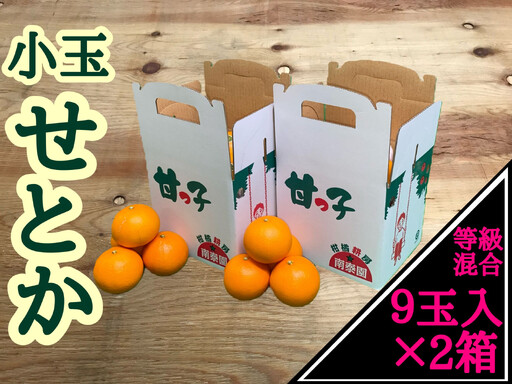 ［2箱セット］甘っ子 小玉 ハウス せとか 9玉入 × 2箱 手さげ箱 南泰園