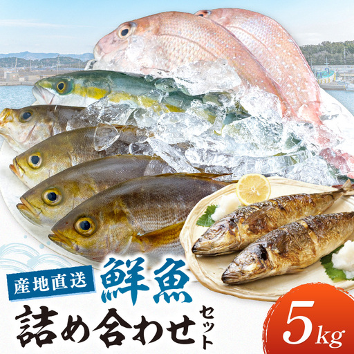 御坊産 鮮魚セット5kg【配送不可地域】沖縄・北海道・東北・九州【0008-2】