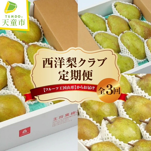 西洋梨 クラブ ( 定期便 ) 全3回 フルーツ 果物 山形