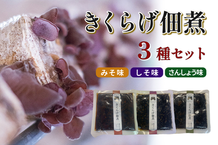 きくらげ佃煮 3種セット(みそ味、しそ味、さんしょう味) [157_0005]