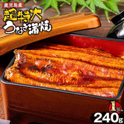鹿児島産 超特大 うなぎ蒲焼 ( 無頭 ) (計240g以上・240g以上×1尾) 鰻 蒲焼き 真空パック[株式会社財宝]A1041