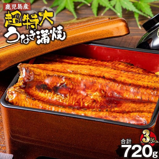 鹿児島産 超特大 うなぎ蒲焼 (無頭) (計720g以上・240g以上×3尾) 鰻 蒲焼き 真空パック[株式会社財宝]A1043