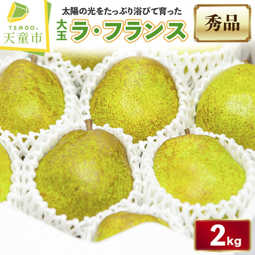 大玉 ラ・フランス 2kg フルーツ 果物 山形 洋梨 ラフランス