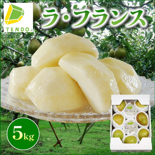 ラ・フランス 5kg 山形 果物 フルーツ 洋梨 ラフランス