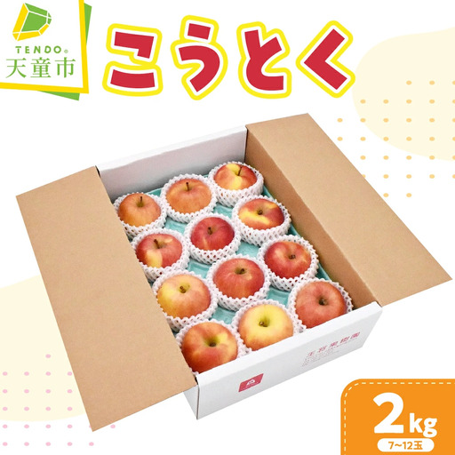 りんご こうとく 2kg 山形 果物 フルーツ リンゴ