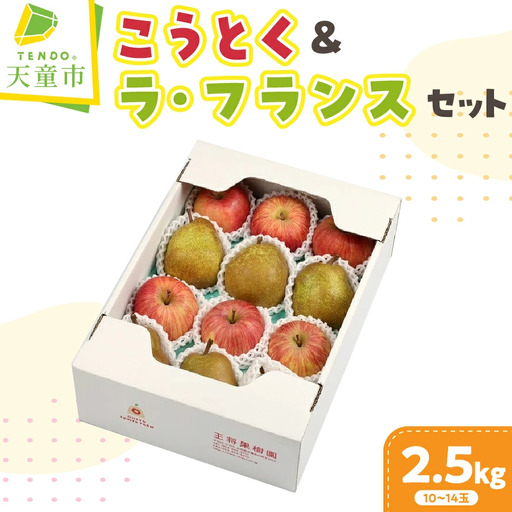 りんご こうとく ＆ ラフランス セット 2.5kg 山形 リンゴ