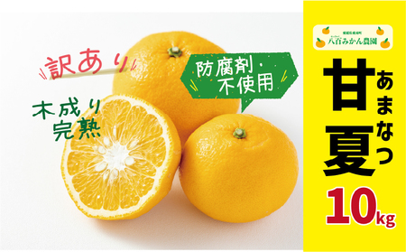 【先行予約】訳あり 完熟 甘夏 10kg 発送期間：2027年3月上旬～無くなり次第終了 八百みかん農園 愛媛県 愛南町