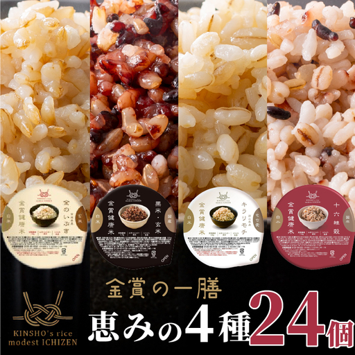 【金賞の一膳 恵みの4種】玄米 雑穀米 120g×24個 ご飯パック 食べ比べ