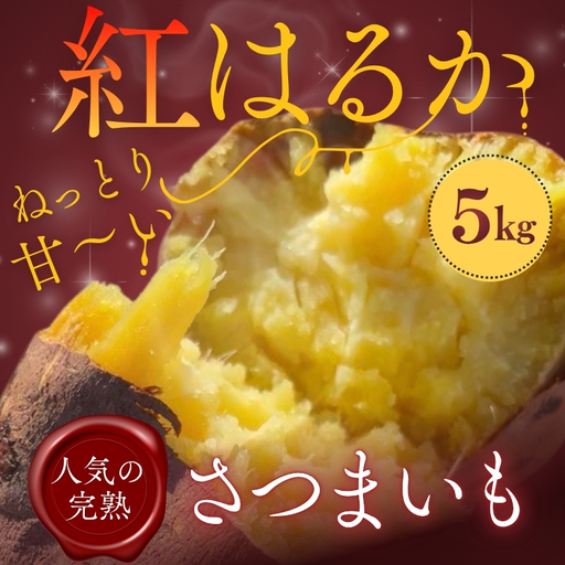 [2026年11月発送分先行予約!]紅はるか さつまいも 5kg