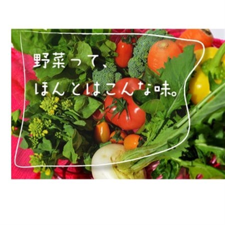 千葉県八千代市 農産物直売所クラフト直送 旬の野菜セット【配送不可地域：離島・沖縄県】【1700413】