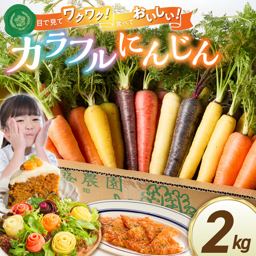 [予約受付]メディア出演多数![期間限定](お試し) 冬の寒さでぎゅっと濃い!虹色のカラフルにんじん 2kg