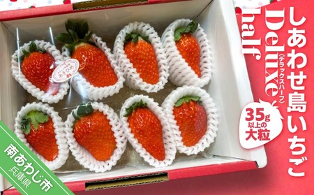 しあわせ島いちごデラックスハーフ(DXh)◆1月下旬から発送