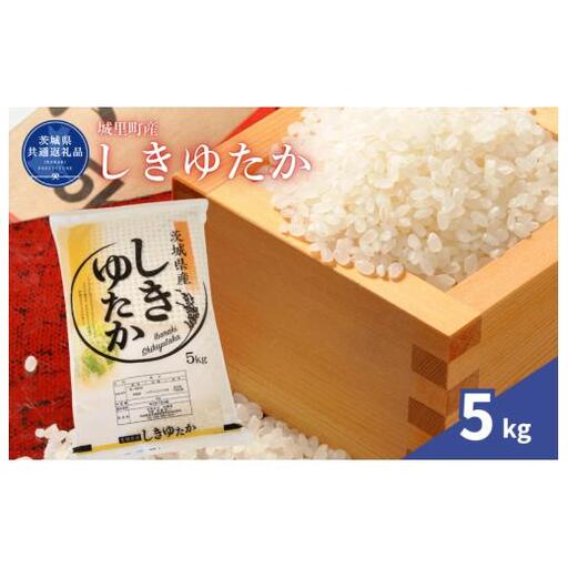 しきゆたか 5kg（茨城県共通返礼品・城里町産） / 米 こめ コメ お米 おこめ しきゆたか 白米 精米 ごはん ご飯 令和7年産 5kg 茨城県 城里町 利根町