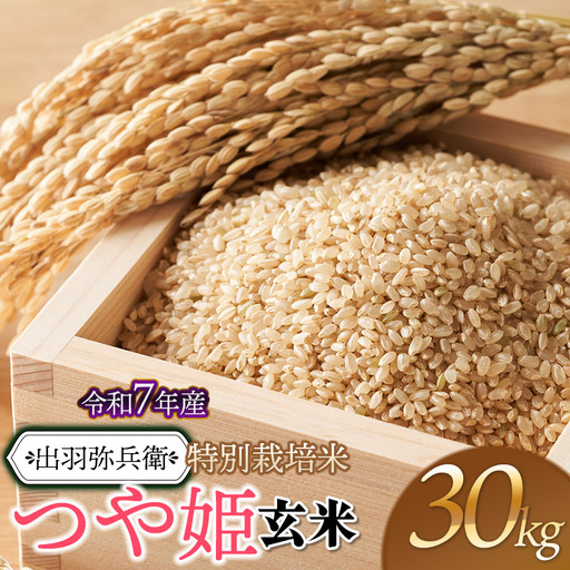 【令和7年産】特別栽培米 つや姫 【玄米】 30kg（5kg×6袋）　山形県鶴岡市産　出羽弥兵衛　| お米 米 コメ こめ ライス つやひめ 30キロ ご飯 ブランド米 国産 主食 お取り寄せ 返礼品