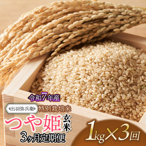 【令和7年産】【定期便3ヶ月】特別栽培米 つや姫 【玄米】 1kg×３回　山形県鶴岡市産　出羽弥兵衛　| お米 米 コメ こめ ライス つやひめ 1キロ ご飯 ブランド米 国産 主食 お取り寄せ 返礼品