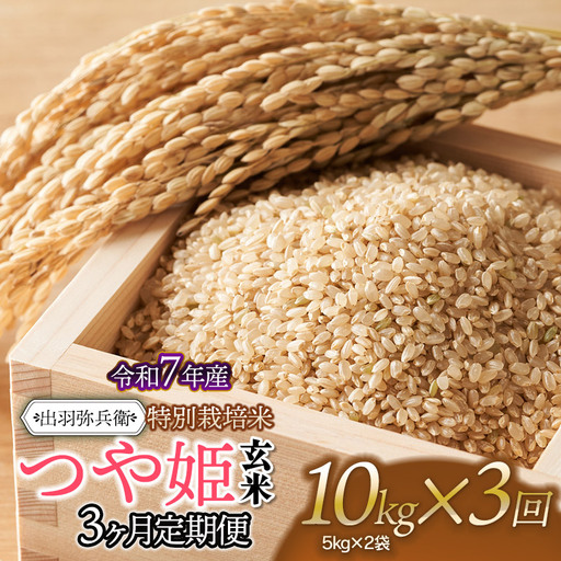 [令和7年産][定期便3ヶ月]特別栽培米 つや姫 [玄米] 10kg(5kg×2袋)×3回 山形県鶴岡市産 出羽弥兵衛 | お米 米 コメ こめ ライス つやひめ 10キロ ご飯 ブランド米 国産 主食 お取り寄せ 返礼品