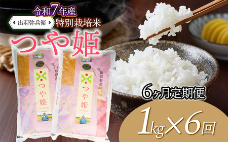 【令和7年産】【定期便6ヶ月】特別栽培米 つや姫 【白米】 1kg×6回　山形県鶴岡市産　出羽弥兵衛　| お米 米 コメ こめ ライス つやひめ 1キロ ご飯 ブランド米 国産 主食 お取り寄せ 返礼品