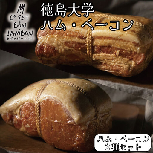 徳島大学 熟成ロースハム ベーコン セット 500g ハム