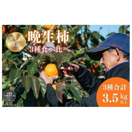 富有柿・陽豊柿・太豊柿　晩生柿3種食べ比べセット（茨城県共通返礼品・かすみがうら市産) / 柿 カキ かき 富有柿 陽豊柿 太豊柿 食べ比べ 果物 フルーツ 3.5kg 果物 フルーツ 産地直送 ギフト 贈答 利根町