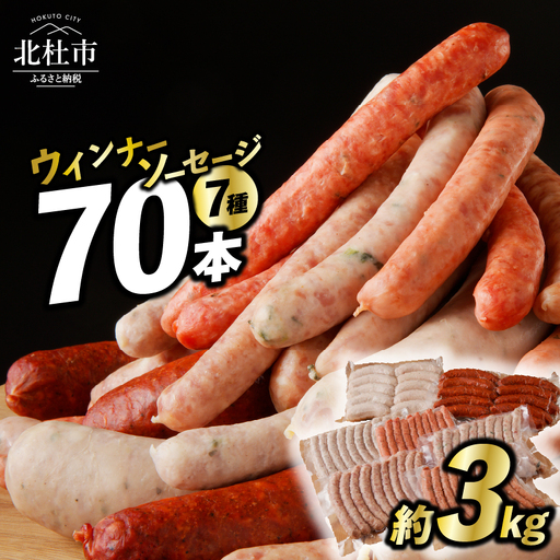 ウインナー ソーセージ セット 約3kg 7種 ソーセージ [h038]