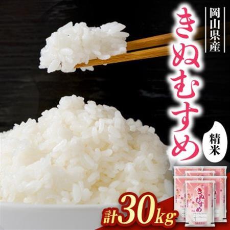 【食味鑑定士厳選】岡山県産 きぬむすめ30kg(5kg×6袋)【1715744】