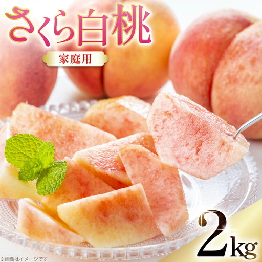 【期間限定発送】 桃 さくら白桃 訳あり 2kg 家庭用