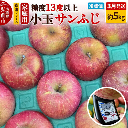 りんご サンふじ 家庭用 約5kg 小玉 3月クール便発送 りんご
