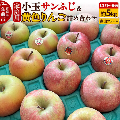 りんご サンふじ&黄色りんご 家庭用 約5kg 小玉 11月発送